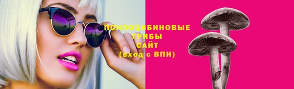дурь Богородицк