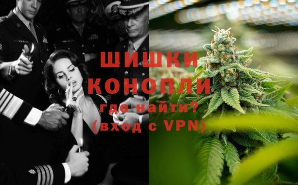 apvp Бородино