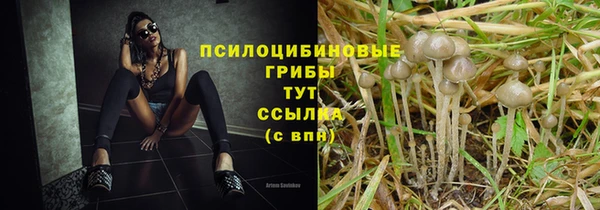 гашишное масло Богданович