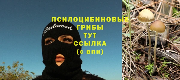 дурь Богородицк